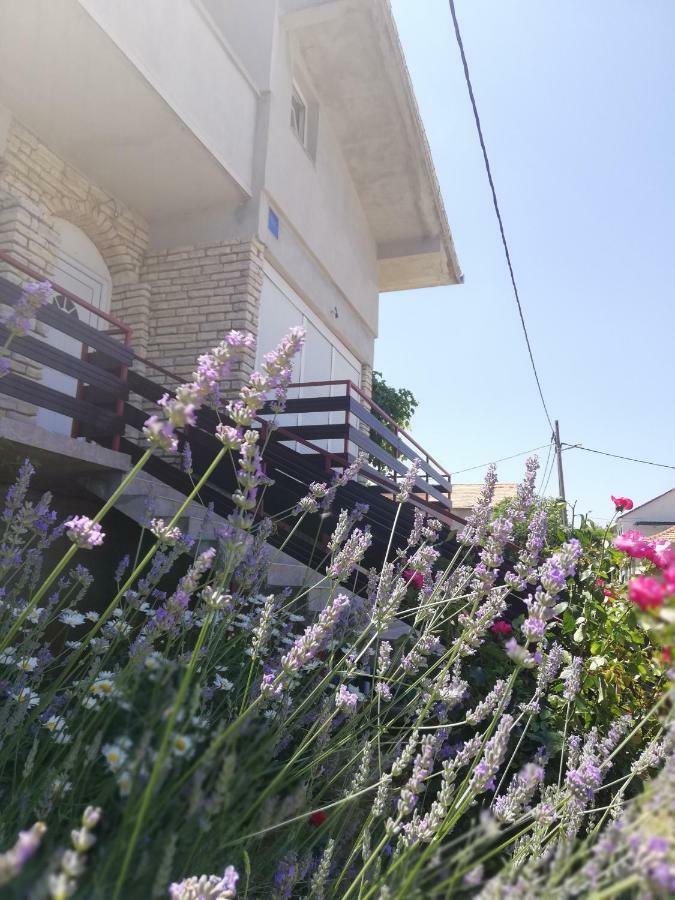 Apartmani Marija Pašman 외부 사진